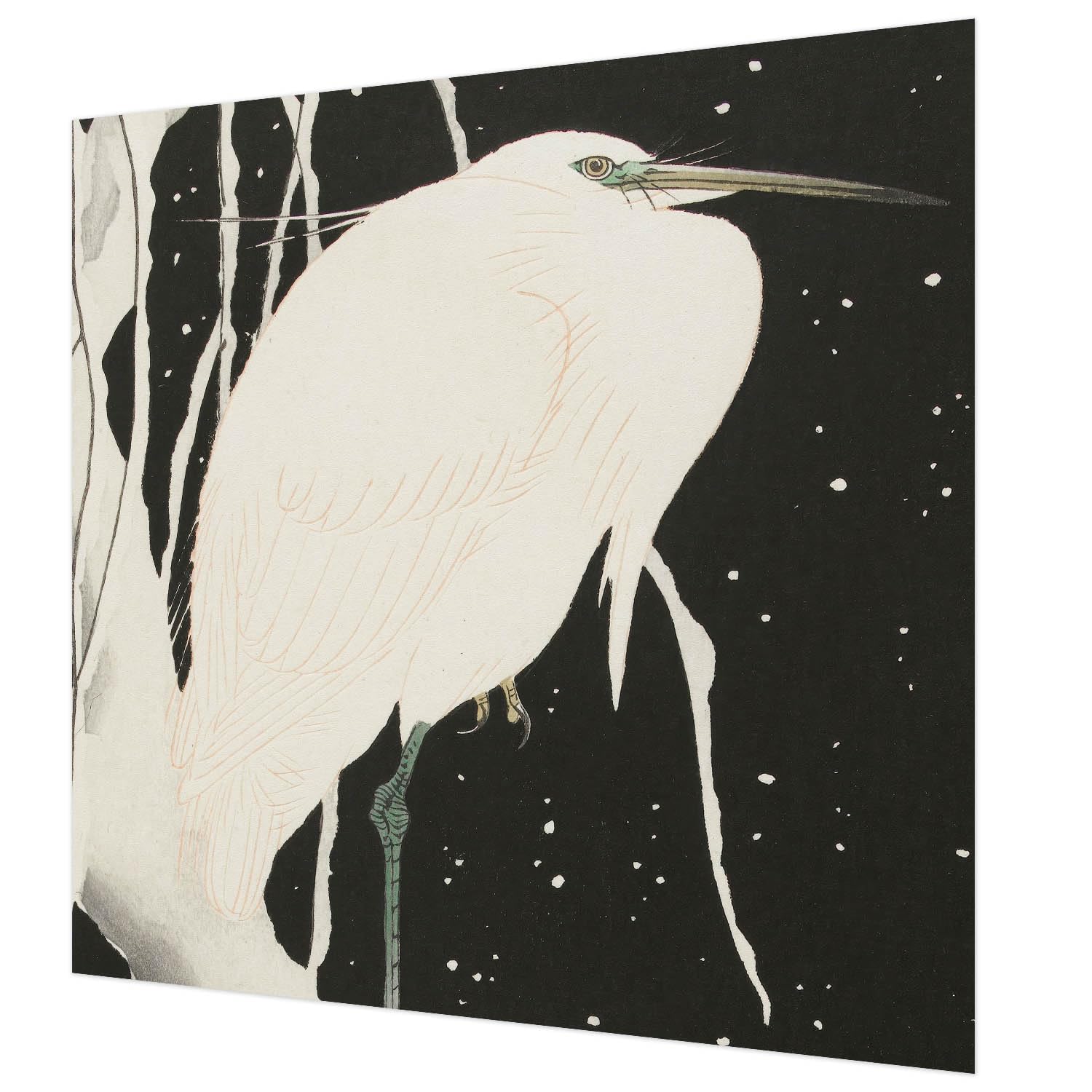 Impression de haute qualité pour papier peint intissé 250x250 cm Tulup