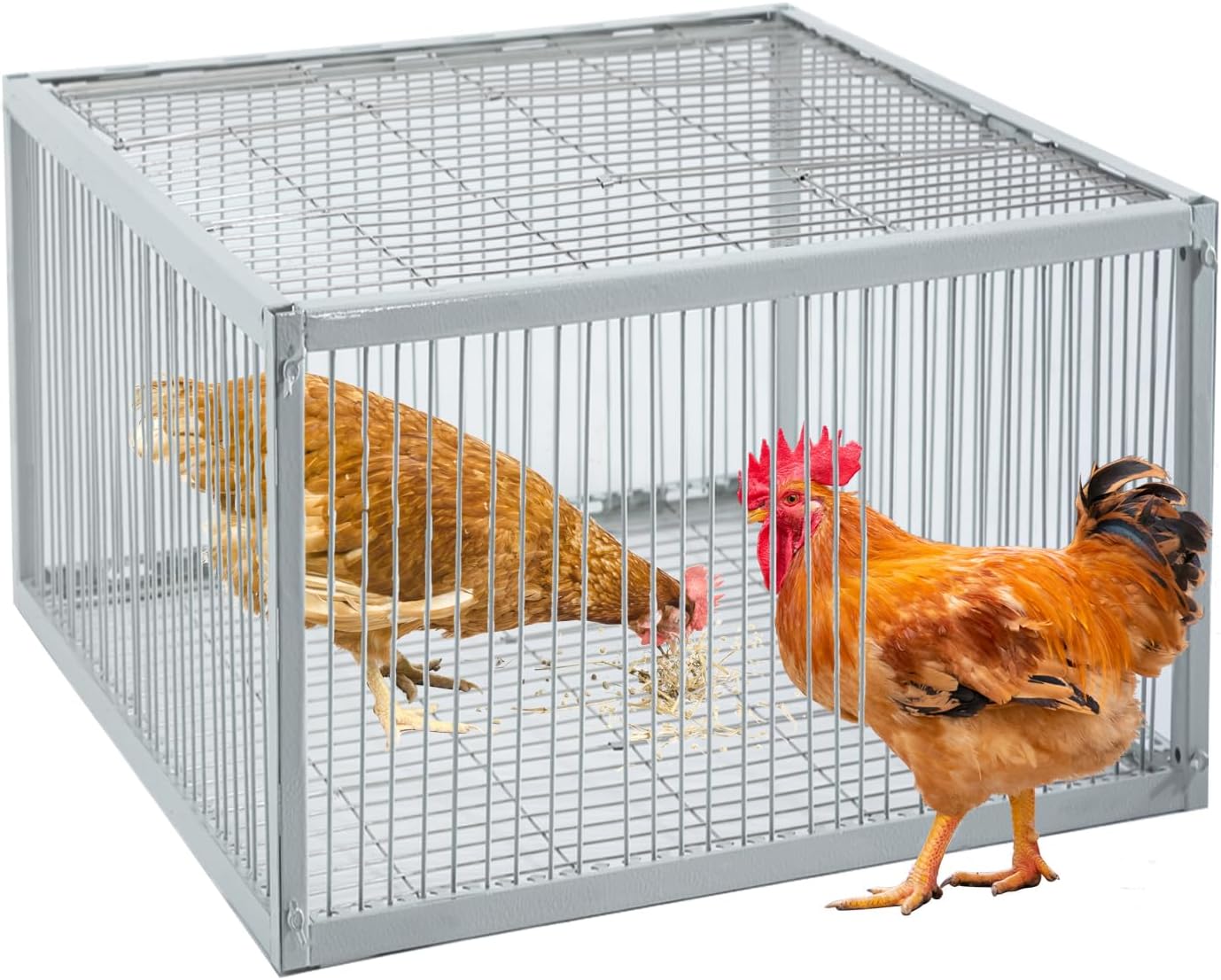 Chicken Trap with Escape-Proof Design, Birds Trap with One-Way Entry, Chicken, Duck, and Turkey Traps, Portable & Easy Assembly, Unharmful Made of High-Strength Iron with Anti-Rust Paint