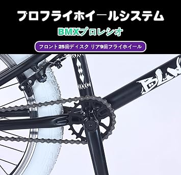 20 Inch BMX Bicycle Biketrial, Street Freestyle BMX Bikes-360° Rotating Handlebar, High Carbon Steel Body-Freestyle BMX Adult Kids Beginner Level to Advanced Riders, Professional Grade Stunt