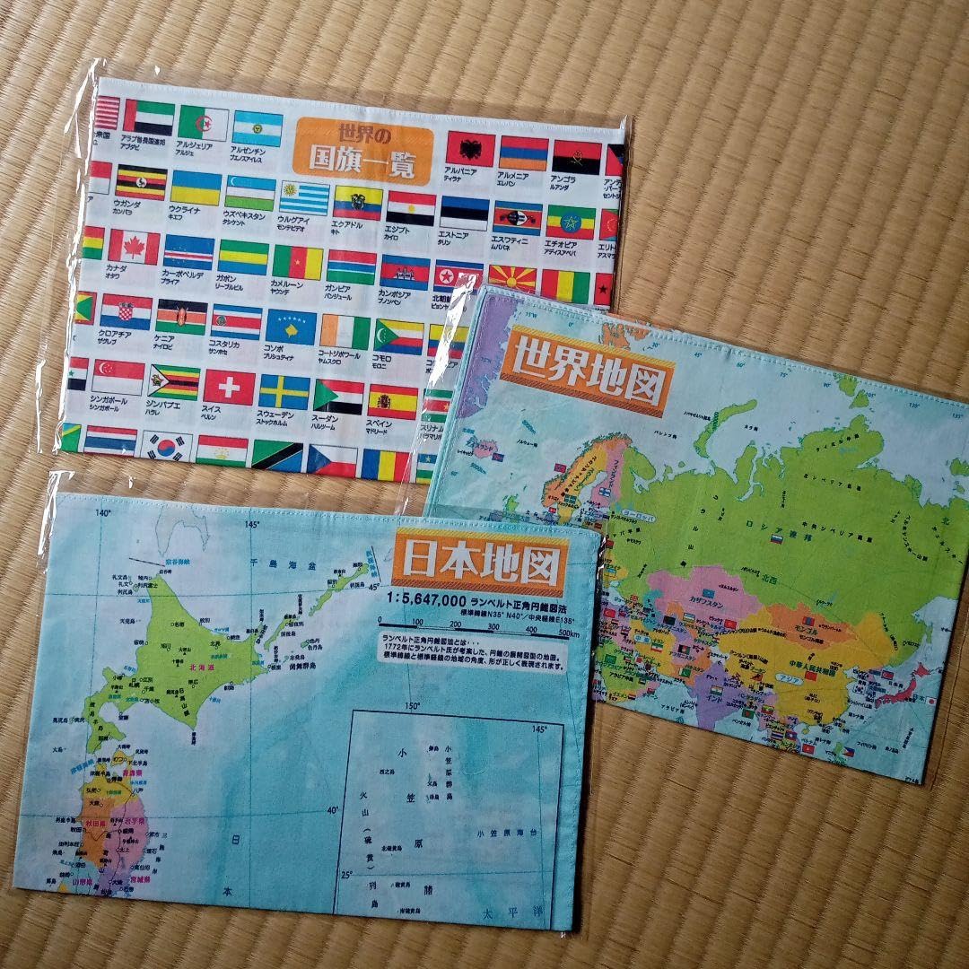 地図まとめ売り！ 下敷き 世界地図 A4 国旗 学習 プレゼント ギフト
