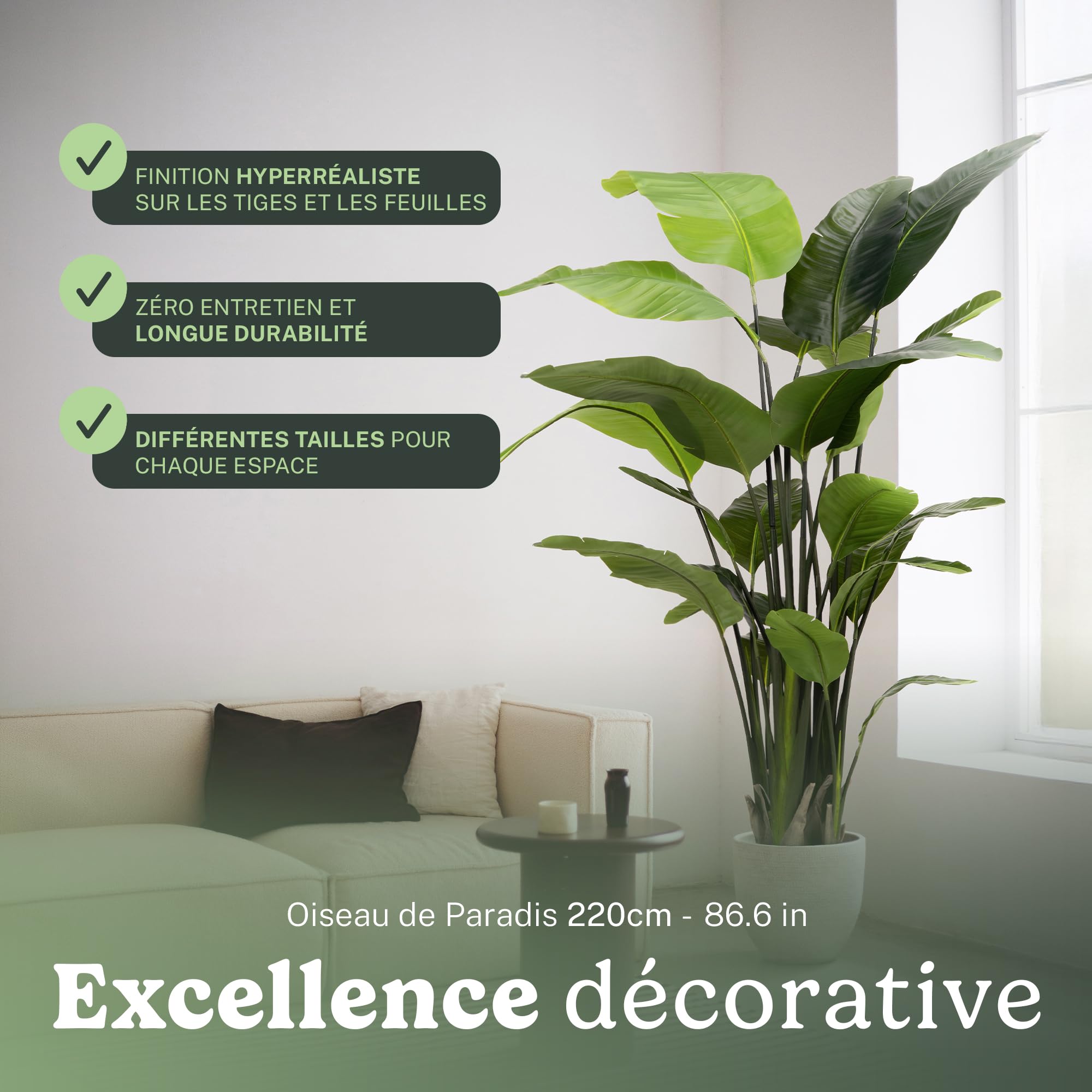Maia Shop Oiseau de Paradis Artificiel 210 cm - Faux Arbre d'Intérieur