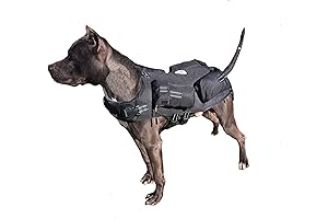 Weighted Vest Dog w/ Swim Feature