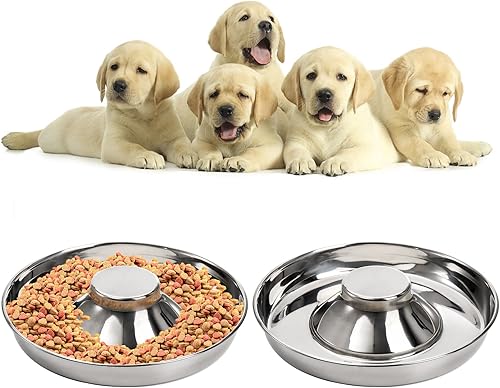 SOUJOY Paquete de 2 cuencos de acero inoxidable para cachorros, cuencos de alimentación lenta para mascotas, tazón antideslizante para alimentos y