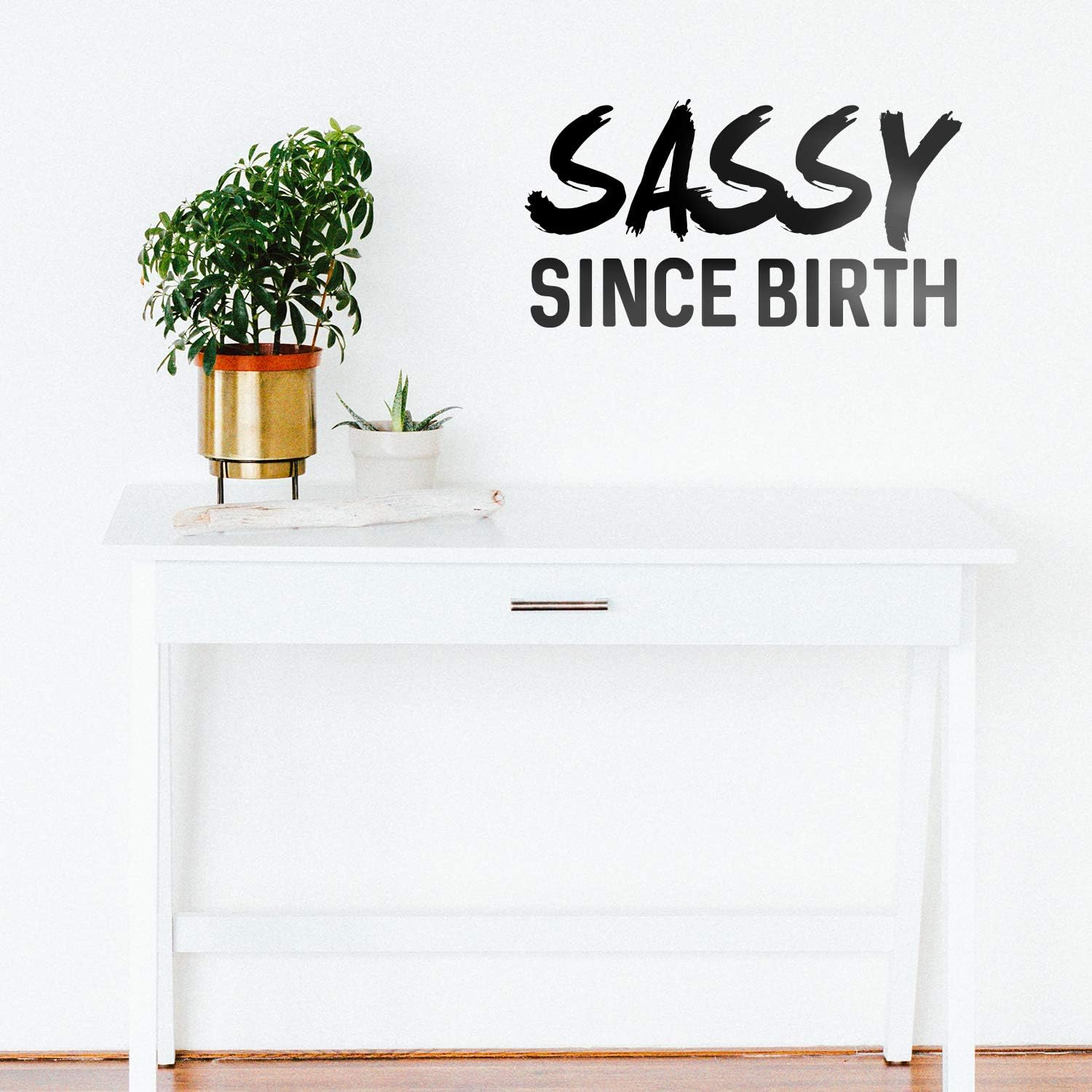 Vinyl Wall Art Decals Sassy Since Birth 12" x 23" Fun
