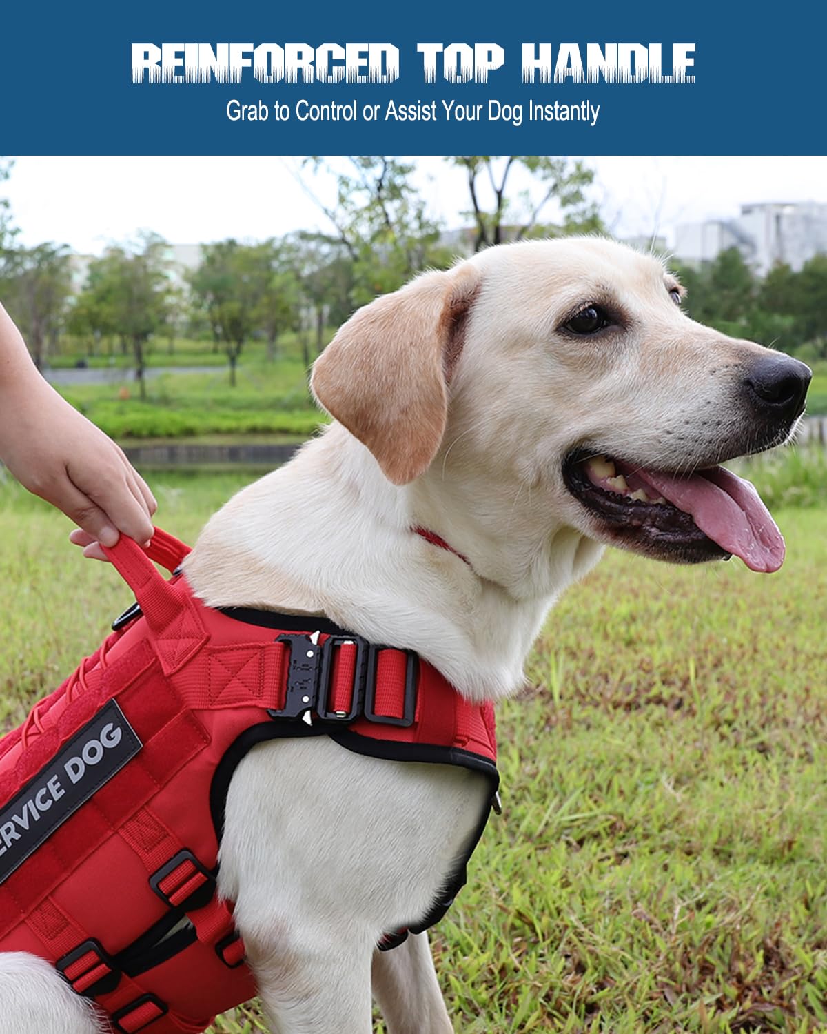 PETNANNY Chaleco táctico para perro, arnés de apoyo emocional sin tirones con parches de velcro y sistema Molle para entrenamiento y caza (rojo, XL)