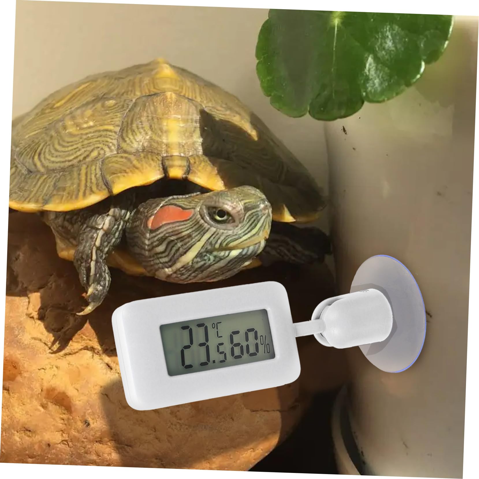 BESPORTBLE 4 Piezas Higrómetro Para Reptiles Dispositivo Medición Temperatura Termómetro Ventosa Accesorios Electrónicos Termómetro Digital Tanque Abs Terrario
