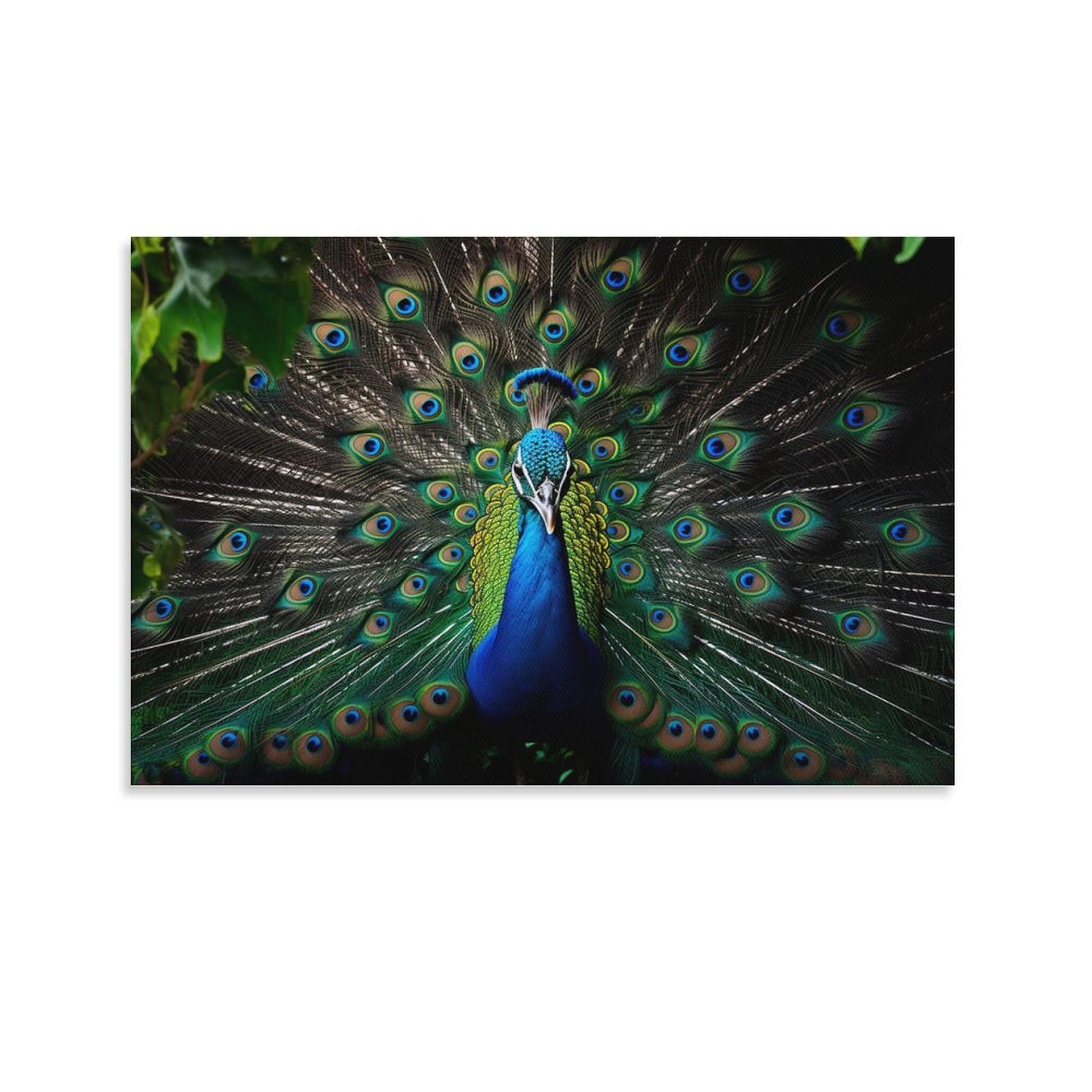 Foccar Unframe-Style Canvas Wall Art Country Peacock Wall Decorations For Living Room Abstract Bird Feather Vintage Animals Hang Pictures Wall Artwork