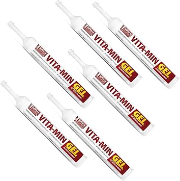Jeffers Vita-Min Gel with Vitamin E, B12, Selenium, Zinc & Biotin, Oral Nutritional Gel for Gut Health, Appetite & Breeding Season Support, Livestock Supplement for Goats, Cattle, Horses, Sheep & Pig