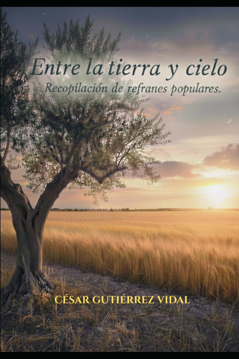 Entre la tierra y el cielo: Recopilación de refranes populares