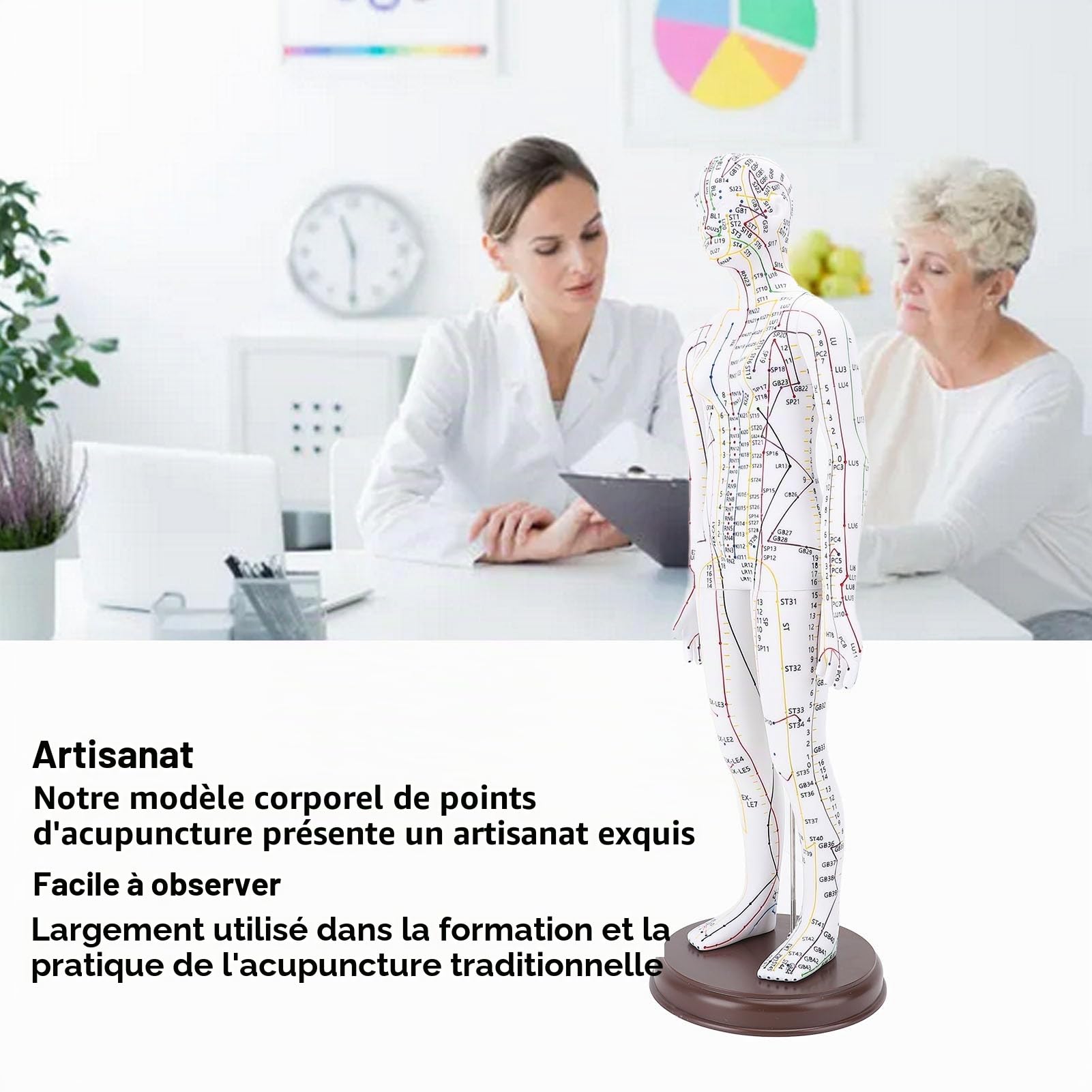 Modèle d'acupuncture, modèle de méridiens féminins de 52 cm, modèle d'acupuncture masculin avec points anglais, sculpture anatomique humaine pour la formation des acupuncteurs,