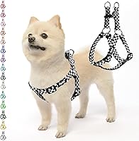 Vista 46 de PUPTECK Arnés para perro sin tirones, suave y ajustable, de nailon básico, chaleco para cachorros para caminar al aire libre con etiqueta