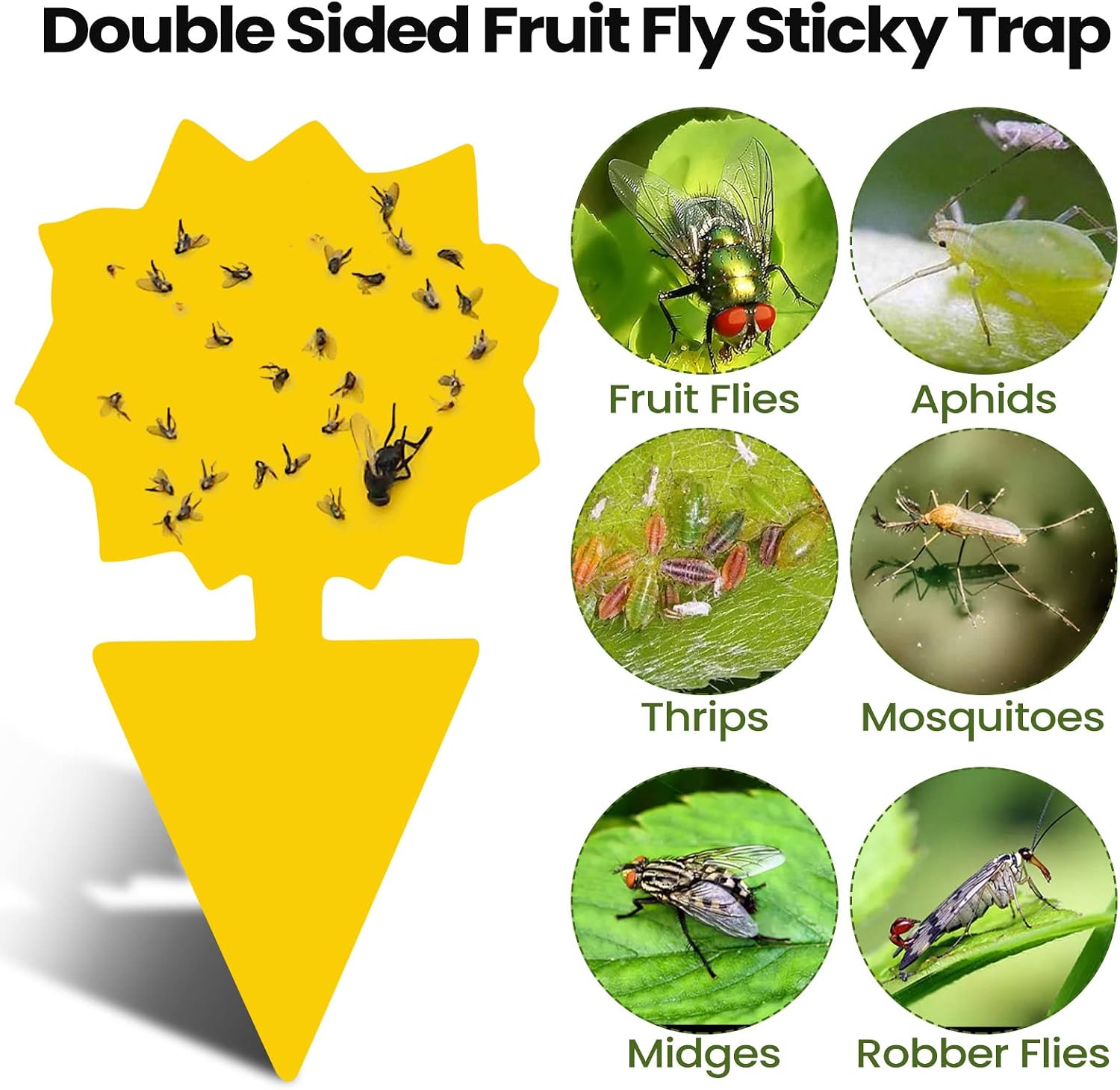 Qualirey 50 Sheets Fruit Fly Sticky Traps for Fruit Fly Gnat Trap for House Indoors Sticky Traps Catcher for Gnats Fungus Gnats Mosquito Catcher Kitchen Outdoor Plants(Classic Style, Yellow Color) image 3
