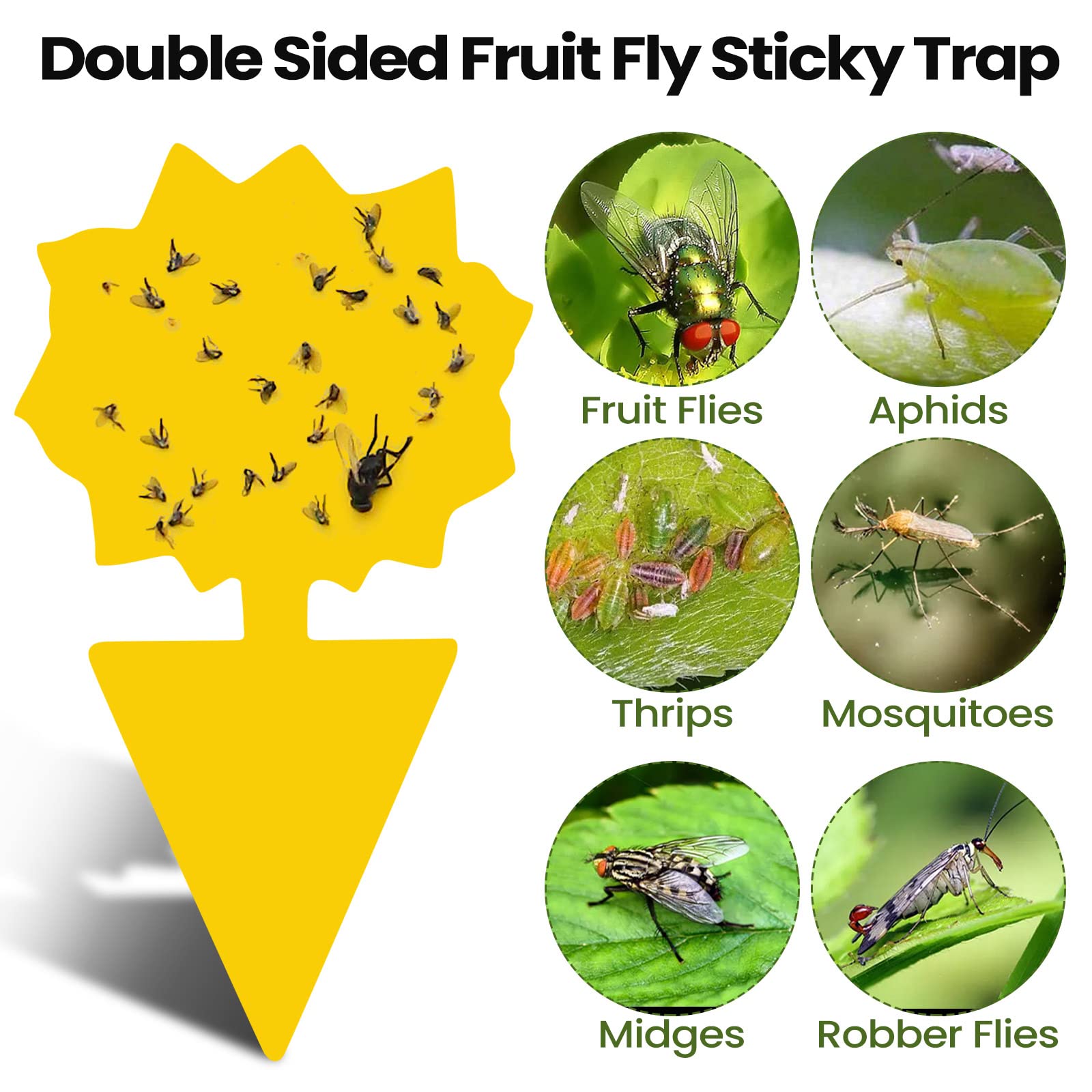 200 hojas de trampas adhesivas para moscas de la fruta para moscas de la fruta, trampa para mosquitos y moscas de la fruta, para interiores de casa, trampas adhesivas para mosquitos, hongos, mosquitos