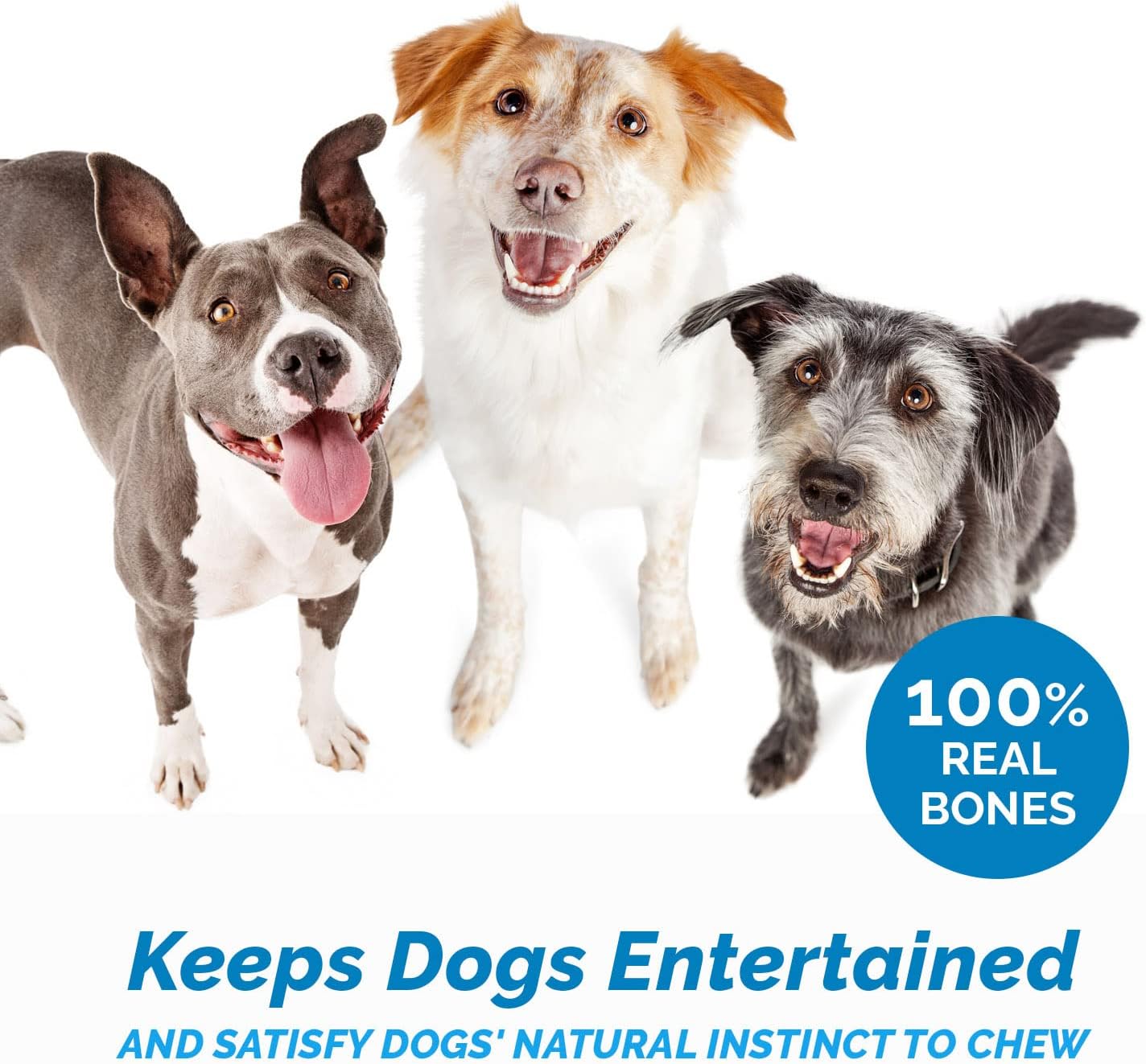 123 Treats Beef Knee Caps Chew Bones for Dogs | All Natural Cow Kneecaps Chew Treat (3 Count)