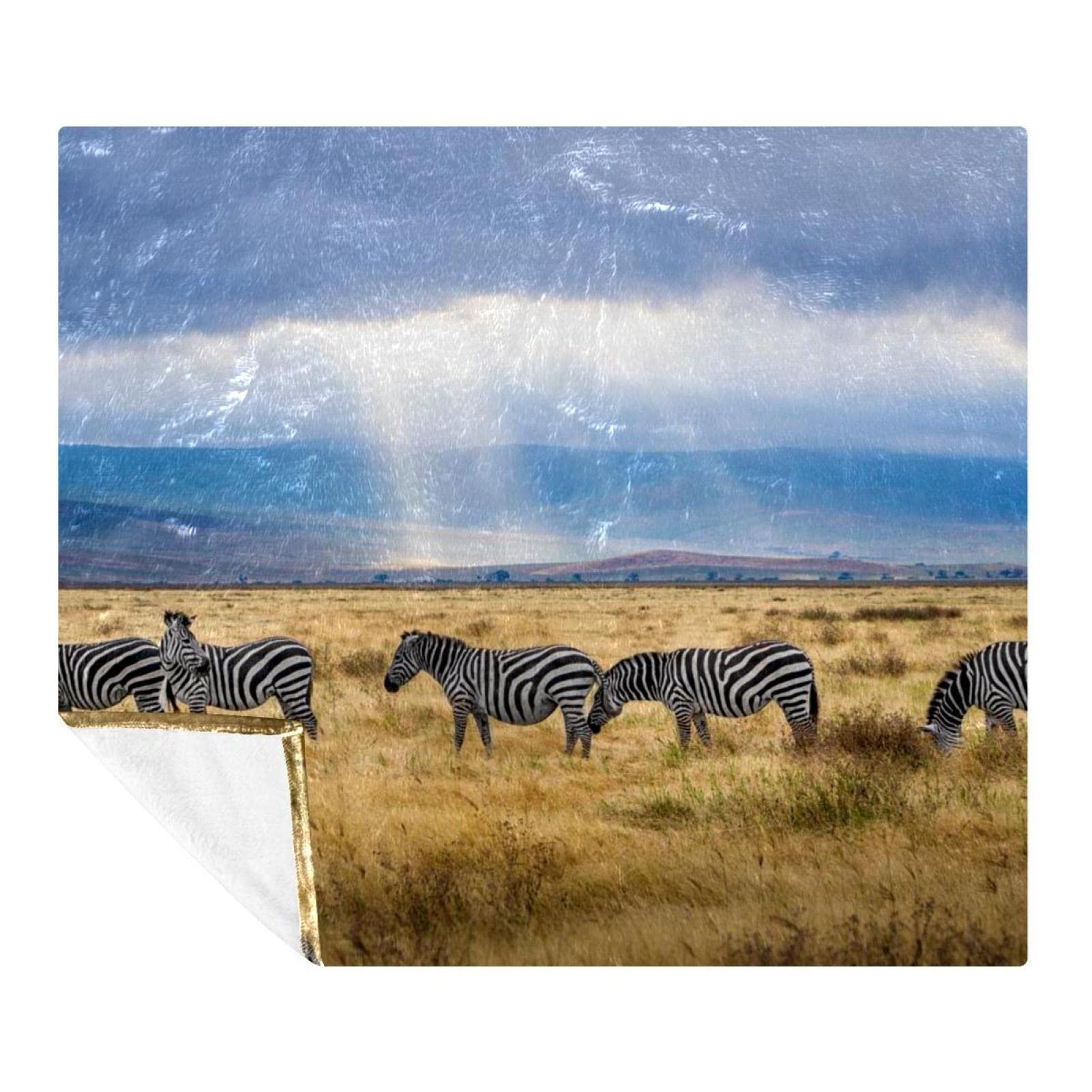 Couverture polaire microfibres zèbres 150x130 pour lit et canapé