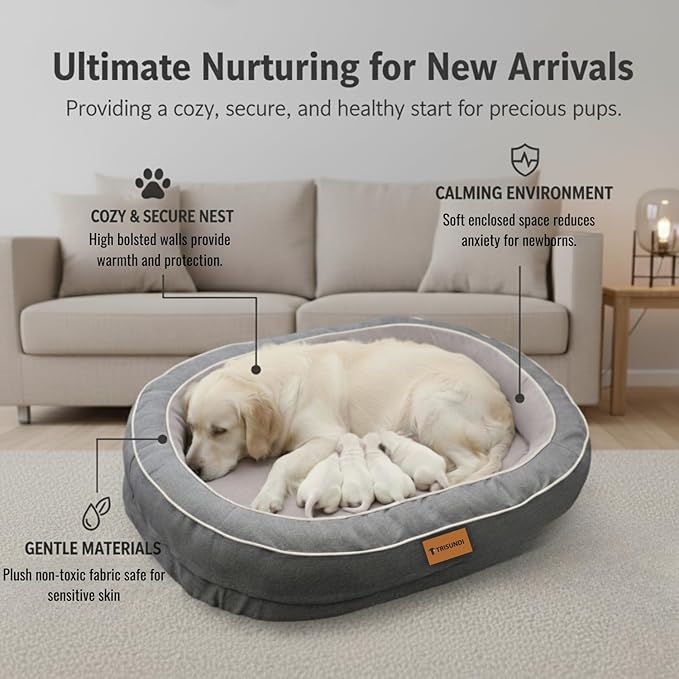 Cama Ortopédica Oval para Perro Grande Lavable Antideslizant miniatura 9