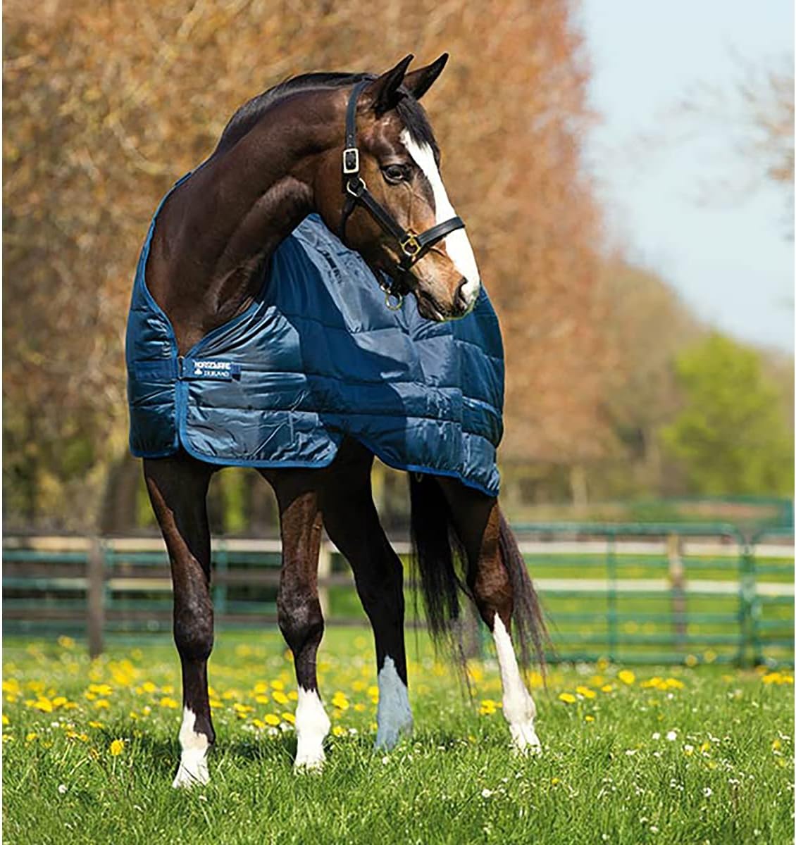 Horseware Ireland ABAD62-BB00 Liner 200g Navy 81