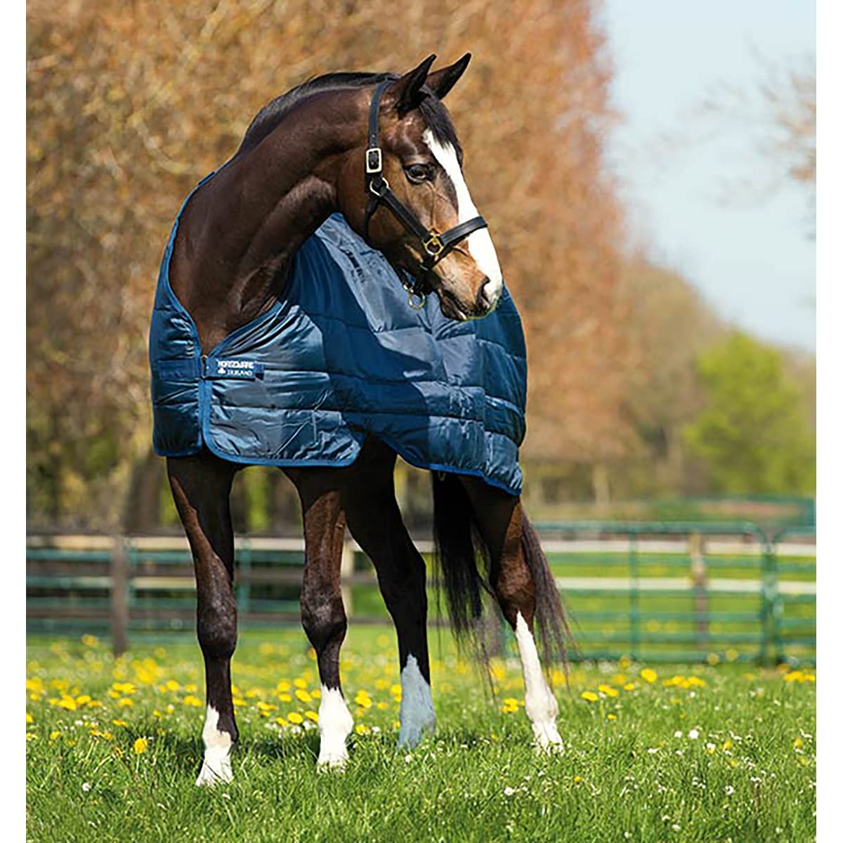 Horseware Manta de establo para Caballos 200g