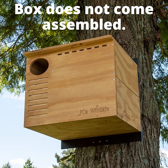 JCS Wildlife Barn Owl Nesting Box: Do It Yourself Assembly Kit Owl House- Build Your Own Barn Owl Box - Screws, Mounting Hardware, Instructions and Nesting Material Included
