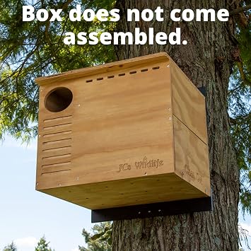 JCS Wildlife Barn Owl Nesting Box: Do It Yourself Assembly Kit Owl House- Build Your Own Barn Owl Box - Screws, Mounting Hardware, Instructions and Nesting Material Included