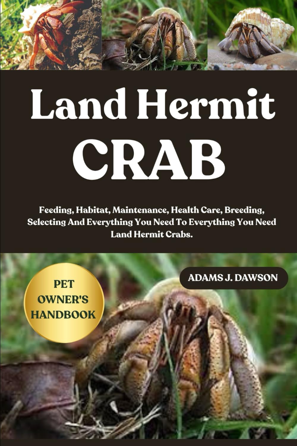 LAND HERMIT CRAB: Feeding, Habitat, Maintenance, Health Care, Breeding, Selecting And Everything You Need To Everything You Need Land Hermit Crabs.