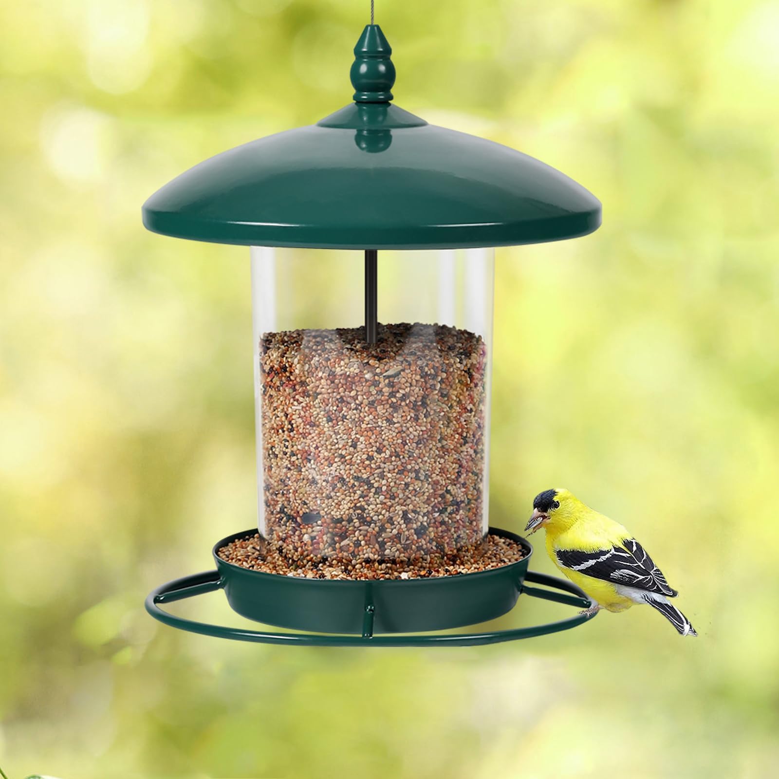 Amazon.com : Stokes Select Hopper Bird Feeder : Wild Bird Feeders