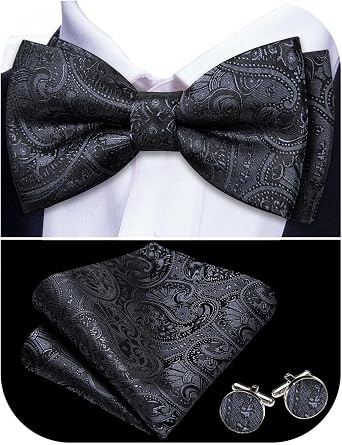 Barry.Wang Paisley Bow Tie for Men Silk Pre-Tied Bowtie Necktie Set