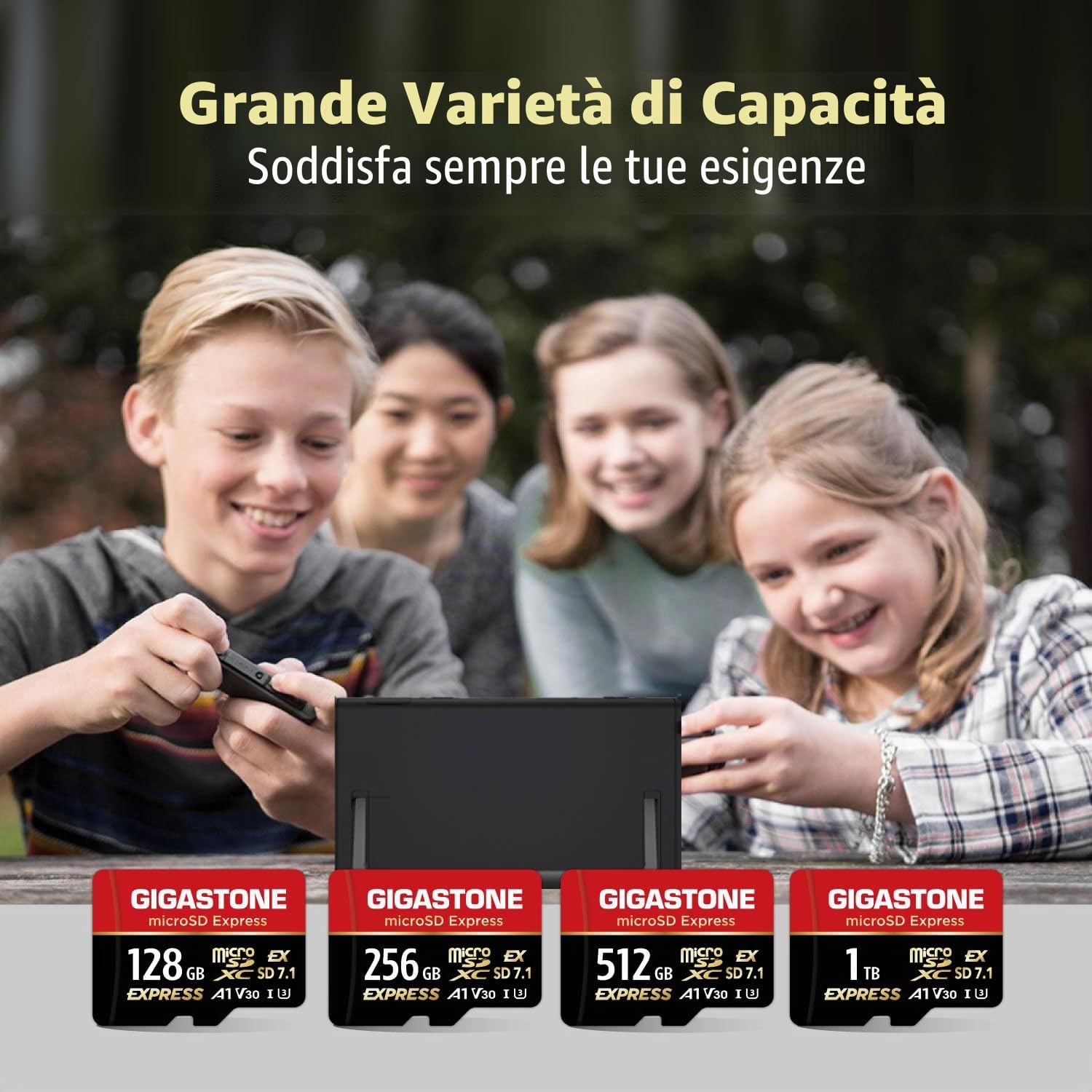 【Progettato per Switch 2】GIGASTONE microSDXC Express 1TB, SD 7.1, R/W fino a 800/650 MB/s, A1 V30 U3, compatibile con Nintendo Switch 2 e fotocamere professionali, con adattatore SD.