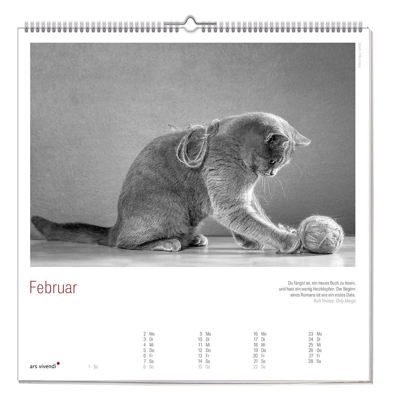 Der große literarische KATZEN Kalender 2027 – Wandkalender mit Katzenfotos & gefühlvollen Texten – Inspirierendes Geschenk für Katzenliebhaber & Tierfreunde