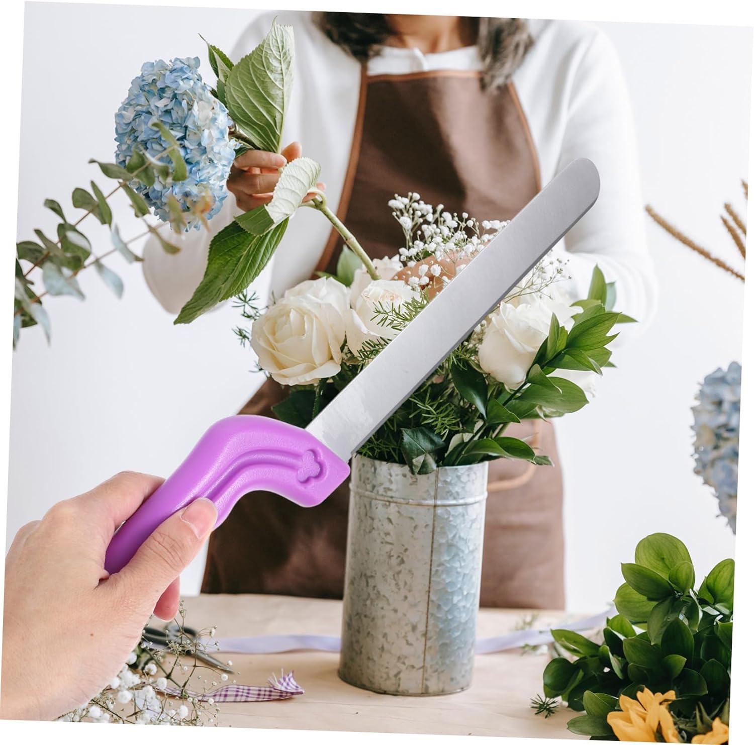 共箱ノイブランデンシュタインアスター二の花C/S （ディスティニー 