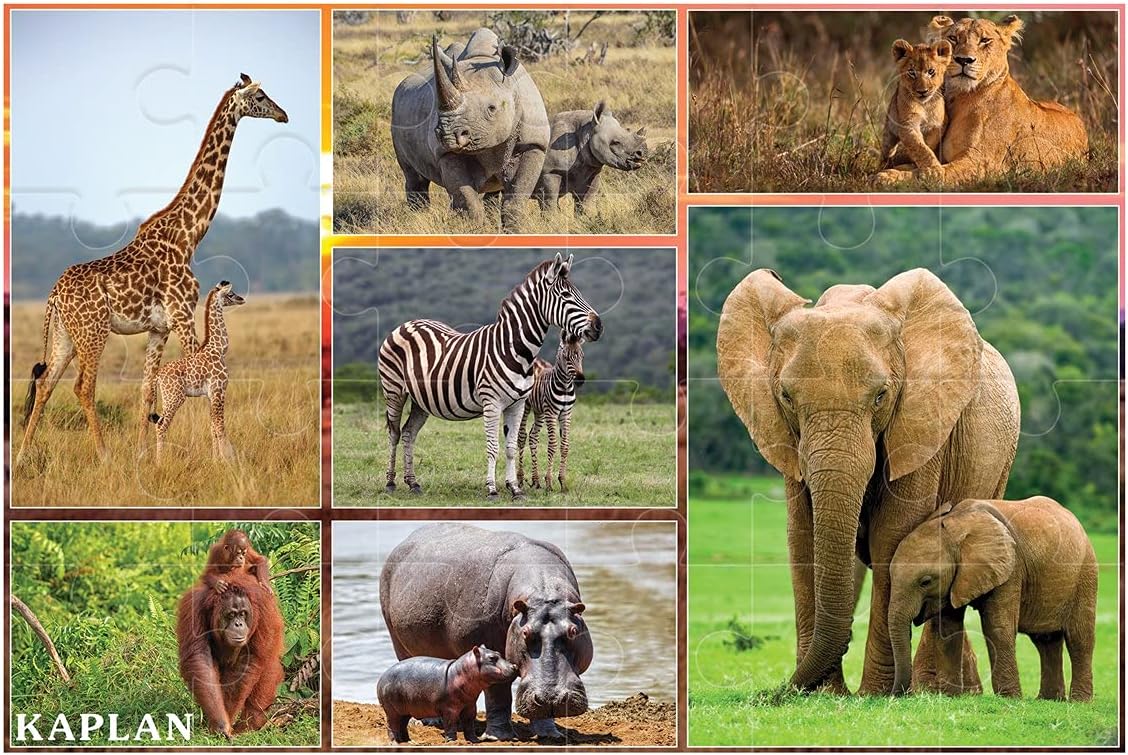 Kaplan Early Learning Wild and North American Animals Floor Puzzles - Set of Two 24" L x 36" W Floor Puzzles