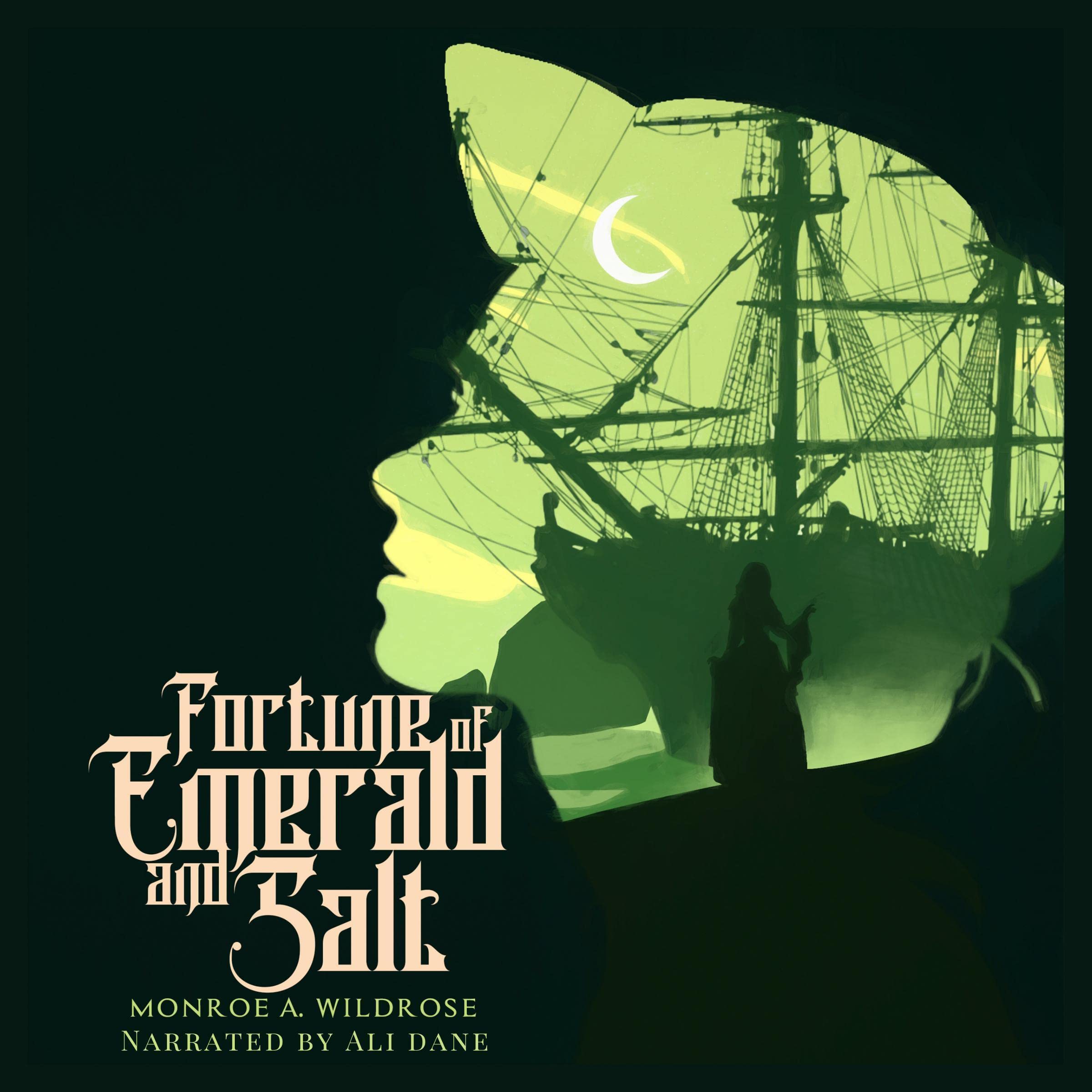 Cover art for Fortune of Emerald and Salt
