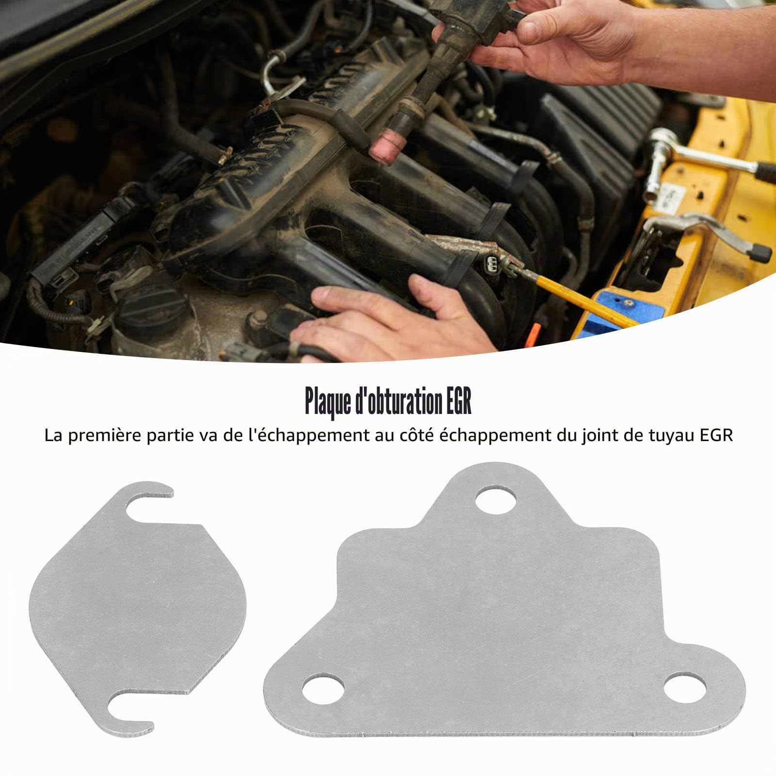 Plaque D'obturation EGR Kit Entièrement Vierge en Acier Inoxydable pour Moteur BT50 2.2L 3.2L Cyl