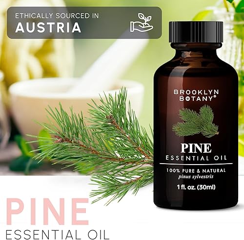 Miniatura 6 de Brooklyn Botany Aceite esencial de pino, 100% puro y natural, aceite de alta calidad con gotero, para aromaterapia y difusor, 1 onza líquida