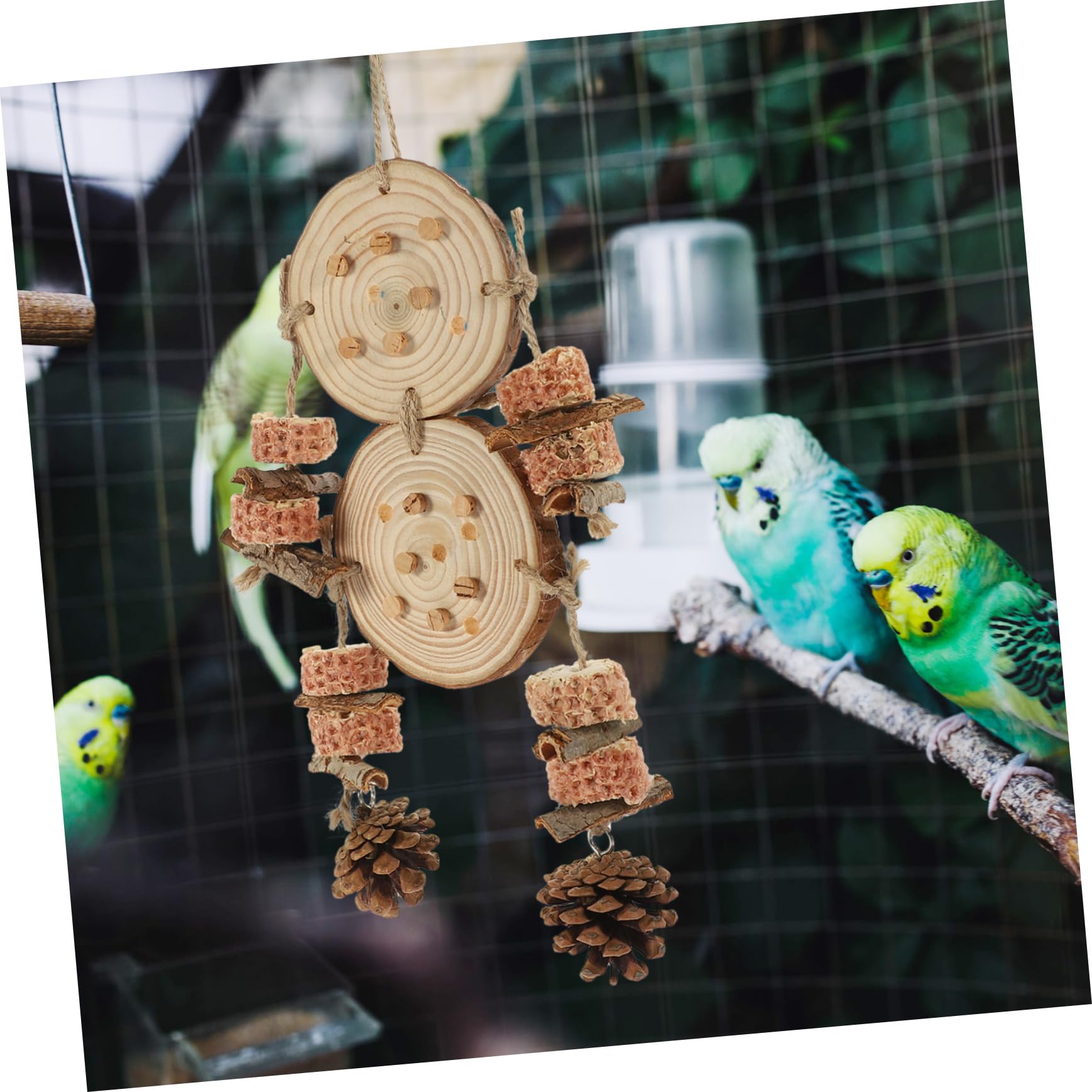 Sosoport 4stücke Parrot Biting Plaything Hängendes Vogelspielzeug Aus Naturholz Für Wellensittiche Und Papageien Sicher Und Unterhaltsam Für Käfige Mit Bunten Dekorationen Und