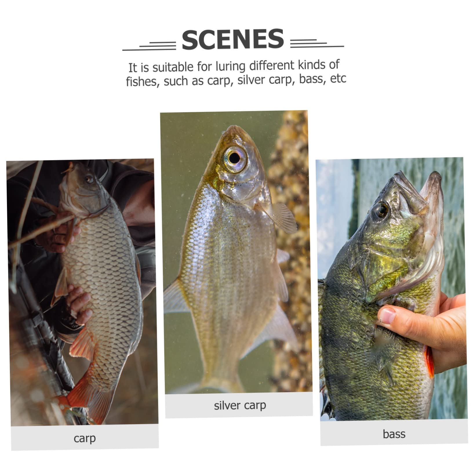 BESPORTBLE Rete Per Pesca Lanciata Retino Da Lancio Per Esche Da Pesca Maglie Per Raccolta Dei Pesci Materiale Resistente e Durevole Chiusura Sicura