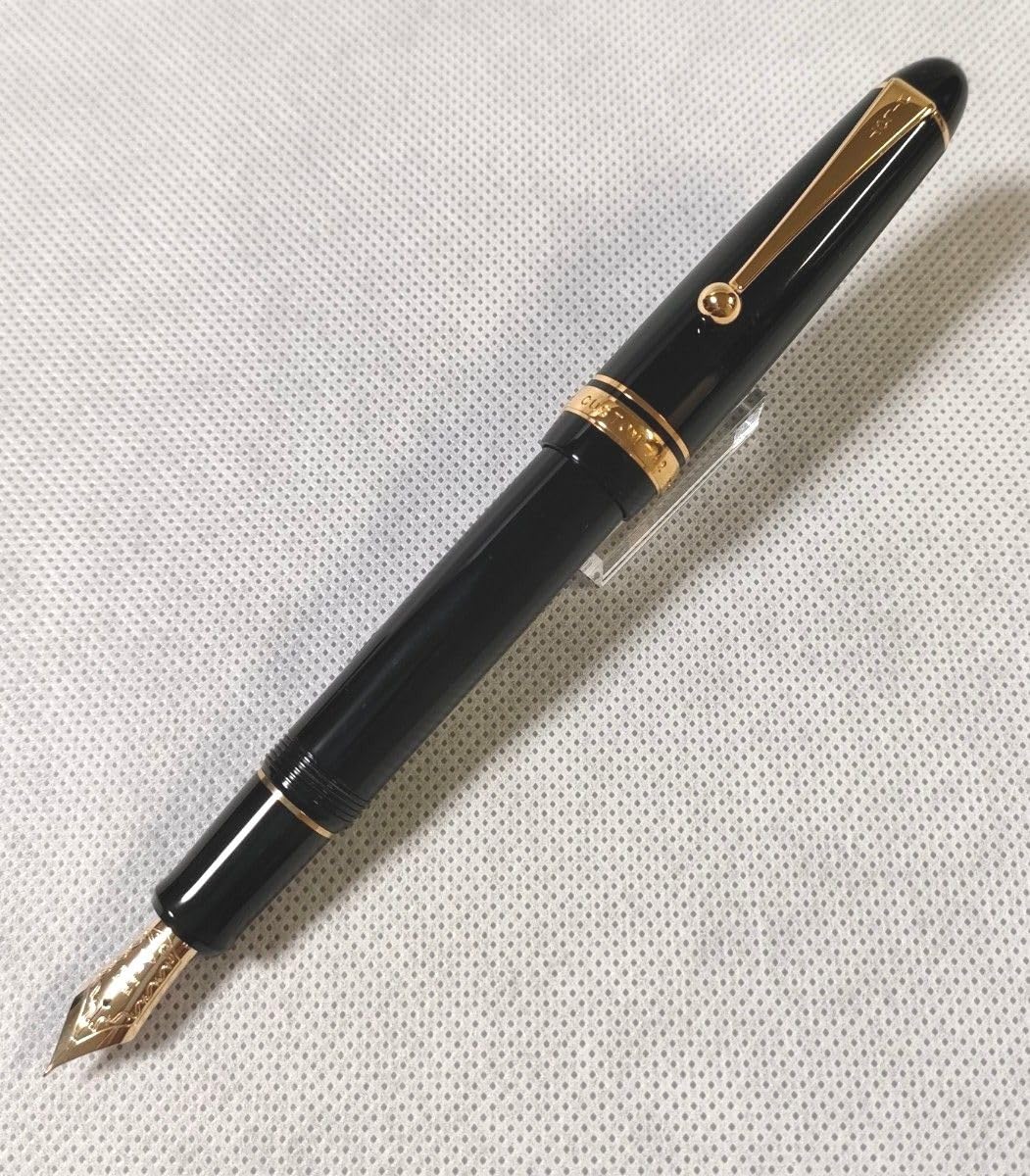 Amazon | パイロット 万年筆 カスタム742 細字 軟 | 万年筆