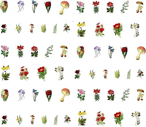 Miniatura 10 de Doraking - Juego de 60 calcomanías decorativas para laptop, diseño de plantas verdes decorativas para laptop, sobres, álbumes de recortes, cuaderno,