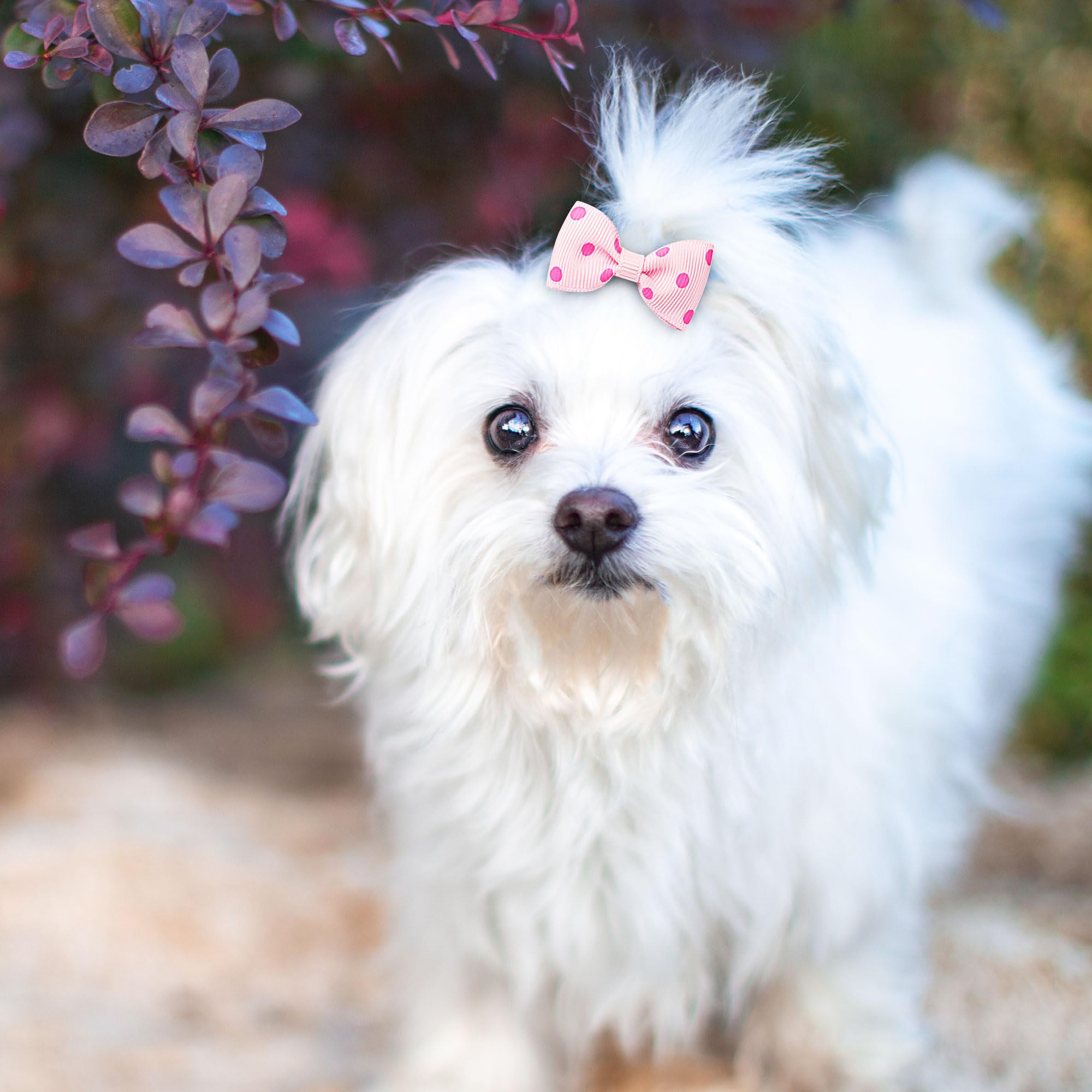 sourcing map 5pcs Barrette pour Chien avec nœud à Pois Pince Rose