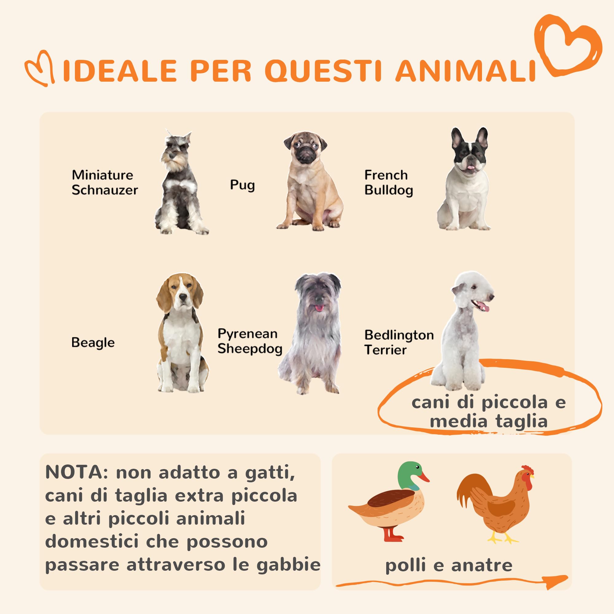 PawHut Recinto per Cani Taglia Piccola e Media, Kennel Casetta per Cani e Galline con Tettuccio, 122x122x138cm