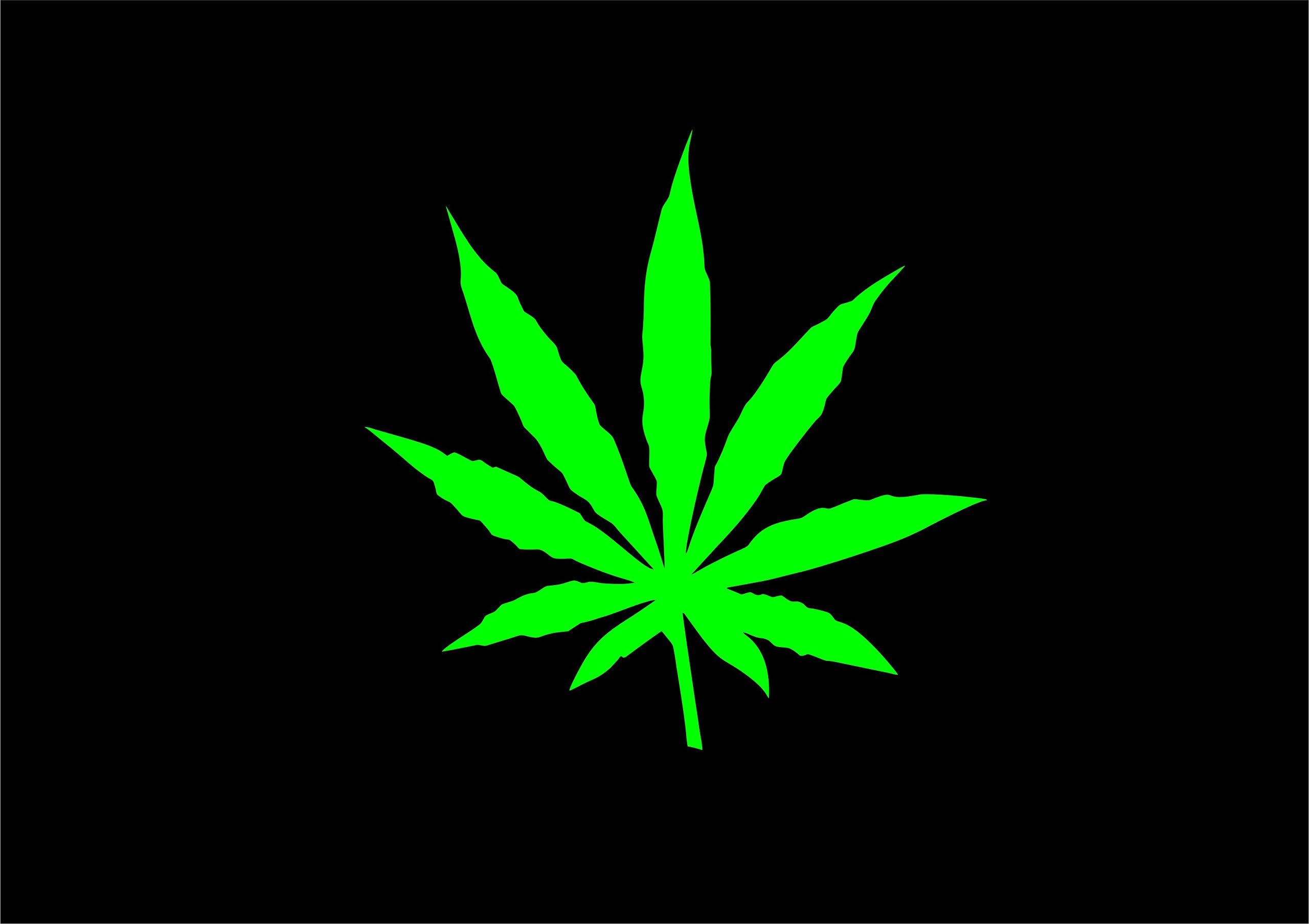 072G CANABIS MARIJIANA LEAF Funny Car Van Window Bumper Vinyl Decal Sticker