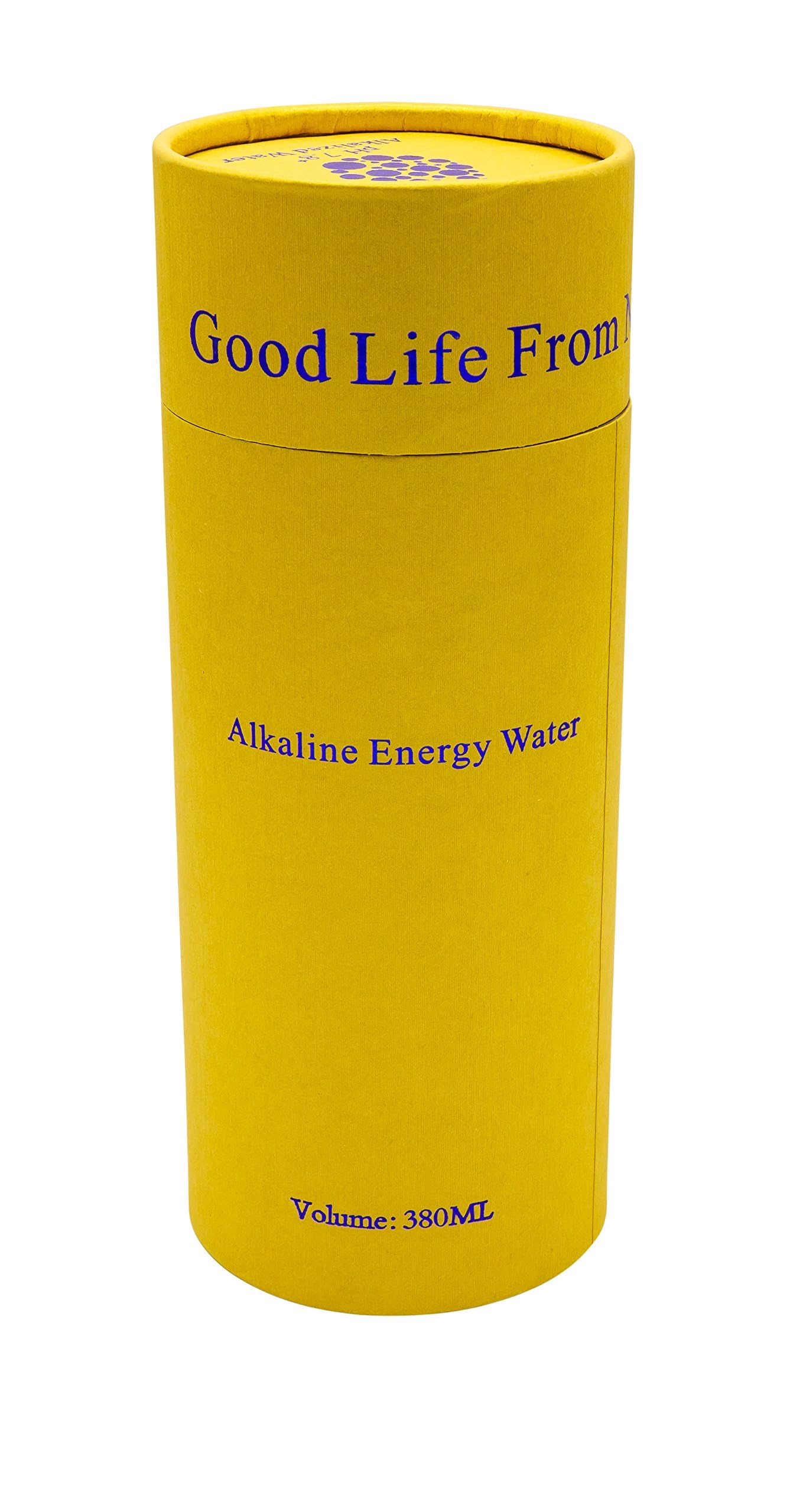 AlkaPod Bottiglia Acqua Alcalina Portatile 370ml – Ionizzatore Acciaio Inossidabile con Filtro Pietre Naturali, Acqua Purificata pH fino a 9,5, Equilibrio e Salute