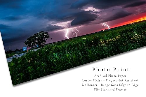 Miniatura 7 de Storm Photography Print (Not Framed) Picture of Lightning Strikes as Firefly Whirls About at Sunset on Stormy Evening in Oklahoma Weather Wall Art