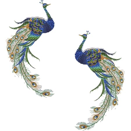 Iron on Applique Embroidered Patch 