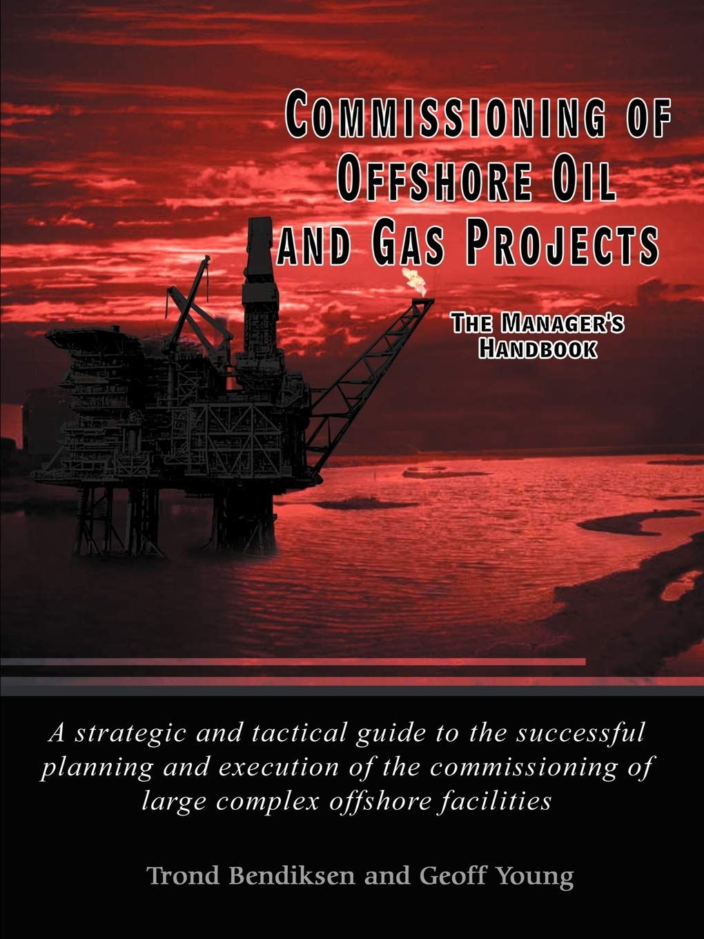 Commissioning of Offshore Oil and Gas Projects