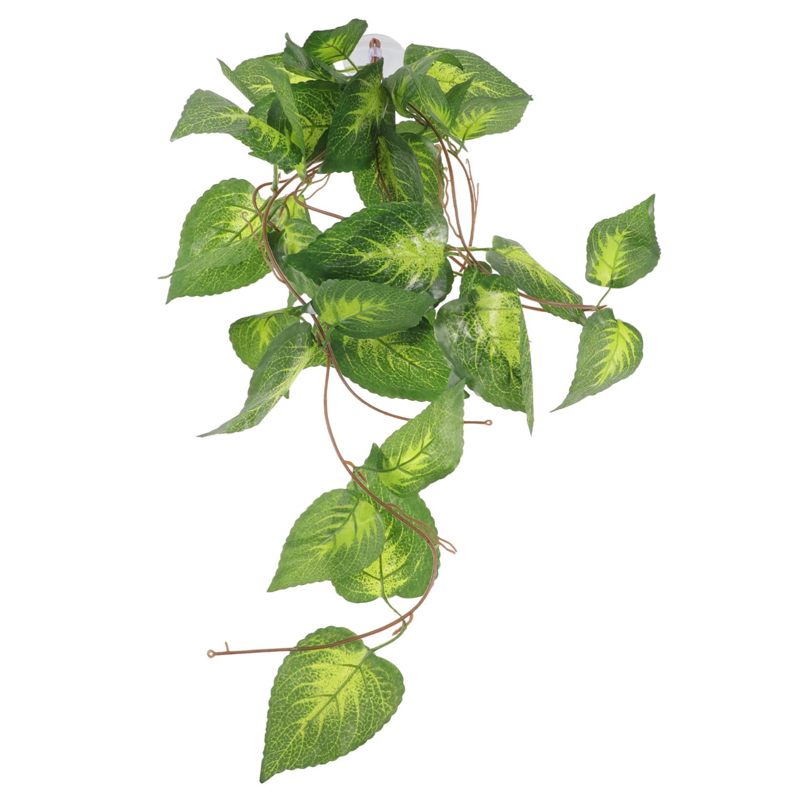 DOITOOL 5 Piezas Planta de simulación de Oruga decoración de vides Falsas contenedores de Vidrio Animal Plantas Artificiales Planta Falsa de Acuario Planta de pecera Hojas