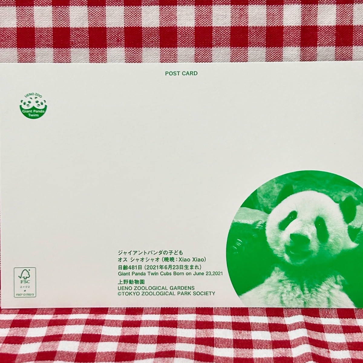 Amazon | ＜＞上野動物園シャオシャオ＆レイレイ2歳記念ポスト