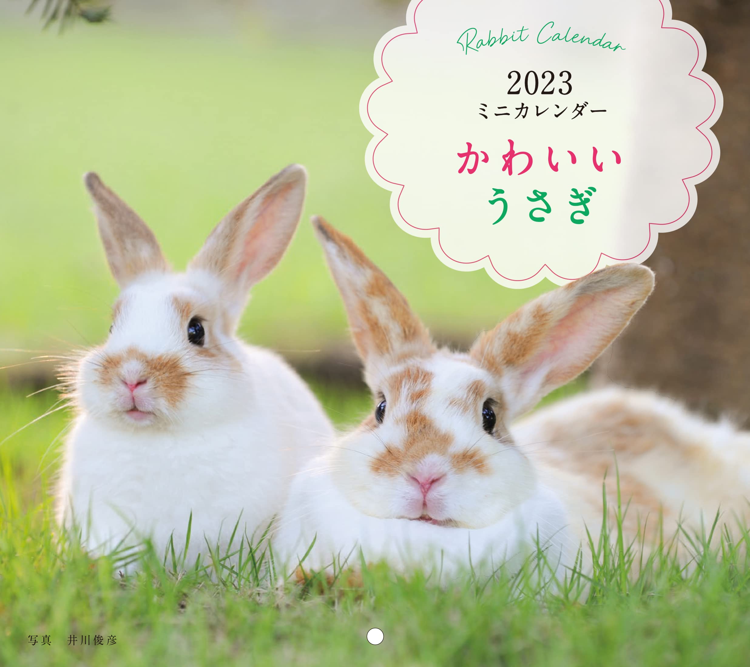 23年カレンダー かわいいうさぎ 誠文堂新光社カレンダー 井川 俊彦 本 通販 Amazon 23年カレンダー かわいいうさぎ 誠文堂新光社カレンダー 井川 俊彦 本 通販 Amazon