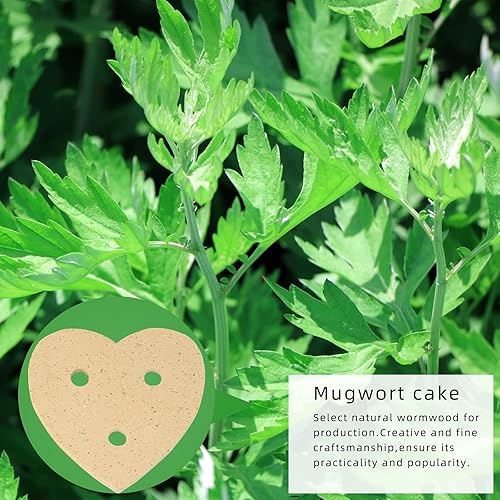 Vista 2 de FILIO Moxibustión Caja de colocación de moxibustión pastel 10 piezas Moxa Sticks Cubo pequeño Moxa Cake Moxibution Moxibution paquetes sellados