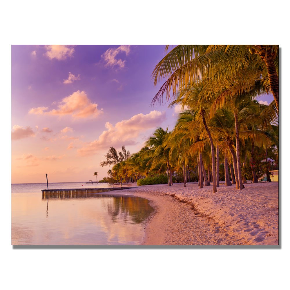 Trademark Fine Art Cayman Beach Full by Preston Canvas Wall Art 35 by 47-Inch